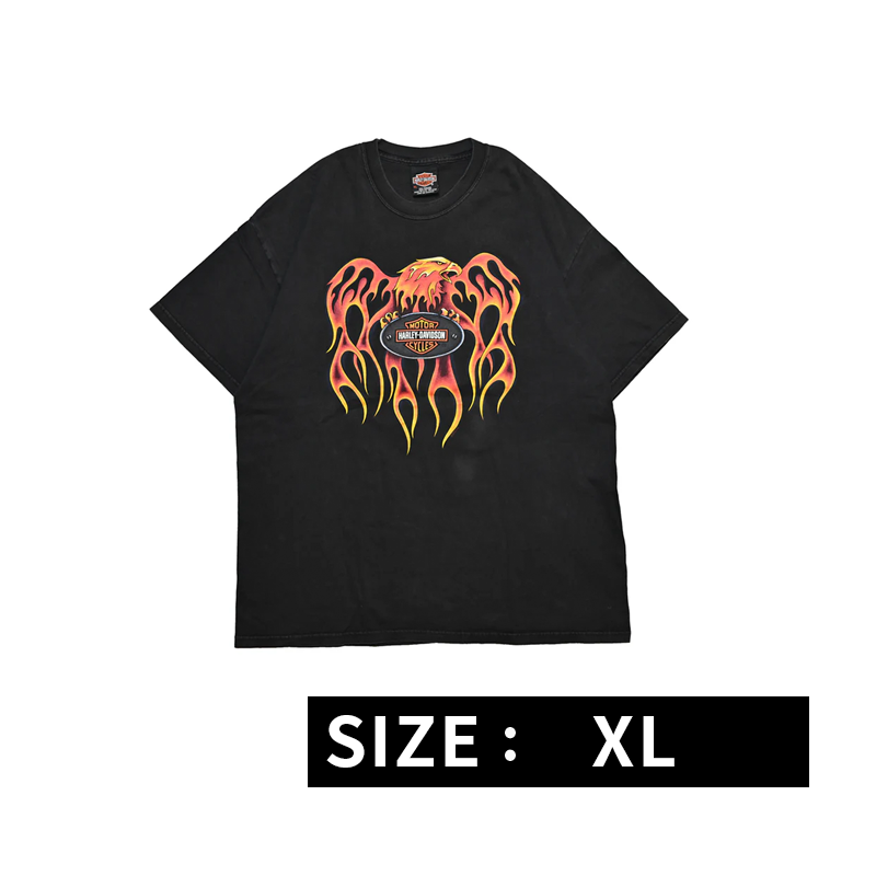 HARLEY DAVIDSON FLAME EAGLE FARIBAULI MINESOTA ORIGINAL XL